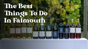 Best Things To Do In Falmouth Massachusetts