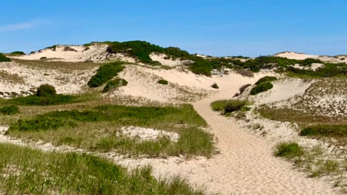 Dune Shack Trail