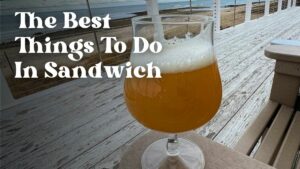 The Best Things To Do In Sandwich Massachusetts