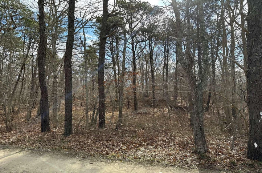 12 Old Campground Road, Harwich, Massachusetts 02645, ,Land,For Sale,12 Old Campground Road,22305151