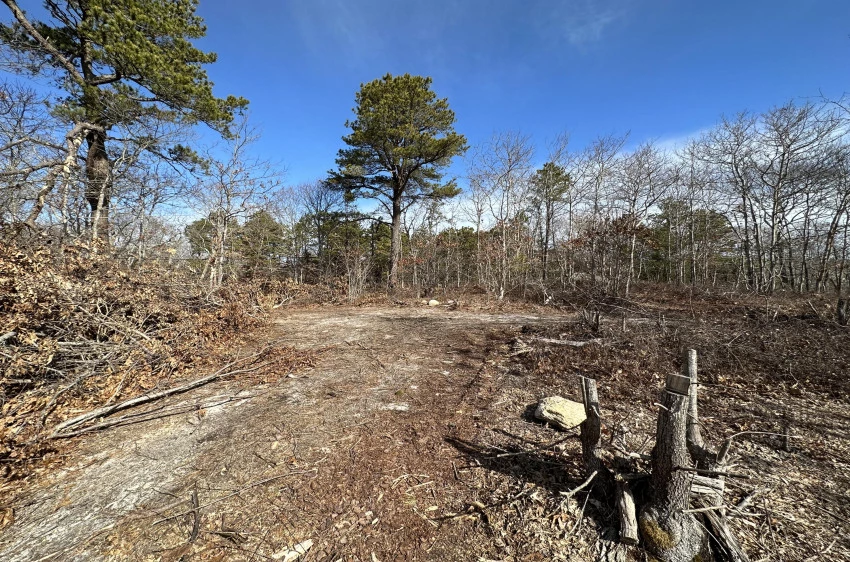 1767 Service Road, West Barnstable, Massachusetts 02668, ,Land,For Sale,1767 Service Road,22300764