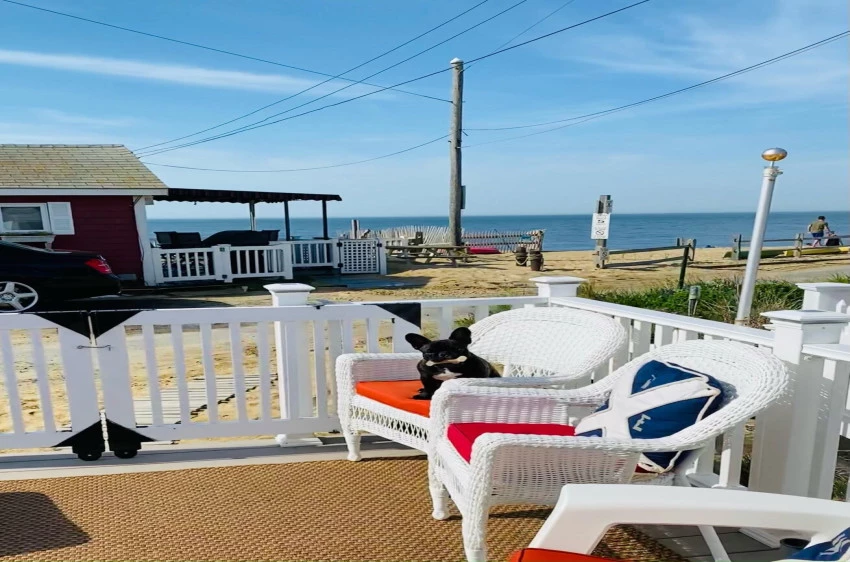 241 Old Wharf Road # 103, Dennis Port, Massachusetts 02639, 1 Bedroom Bedrooms, 3 Rooms Rooms,1 BathroomBathrooms,Residential,For Sale,241 Old Wharf Road # 103,22400719