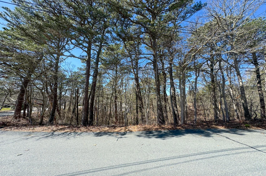 0 Tanglewood Road, Brewster, Massachusetts 02631, ,Land,For Sale,0 Tanglewood Road,22401354
